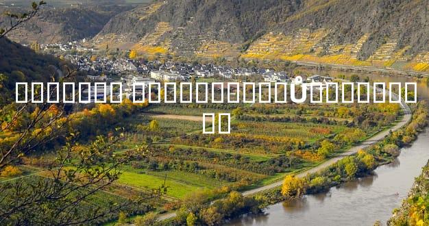 ������� ����������ŮԵ��Ƚ�